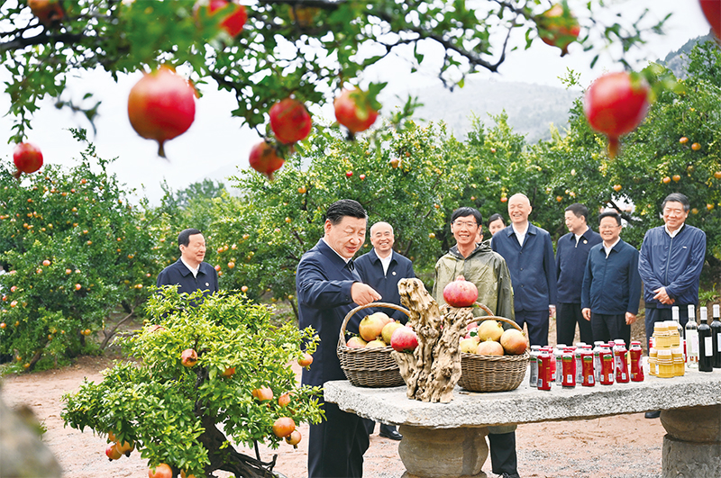 太阳成集团61999(集团)有限公司-Official website